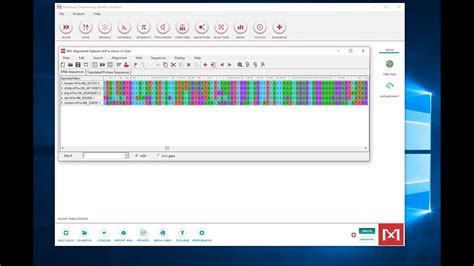mega unable to open file|0004808: Application error finalizing MUSCLE alignment.